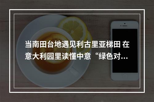 当南田台地遇见利古里亚梯田 在意大利园里读懂中意“绿色对话”