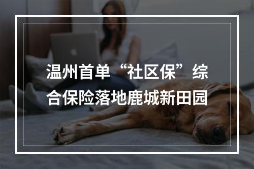温州首单“社区保”综合保险落地鹿城新田园