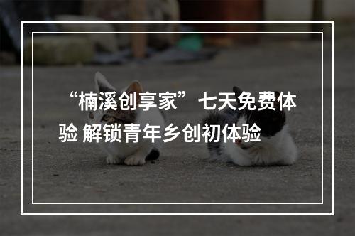 “楠溪创享家”七天免费体验 解锁青年乡创初体验