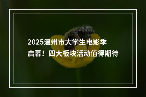 2025温州市大学生电影季启幕！四大板块活动值得期待
