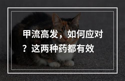 甲流高发，如何应对？这两种药都有效
