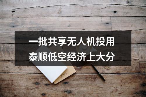 一批共享无人机投用 泰顺低空经济上大分