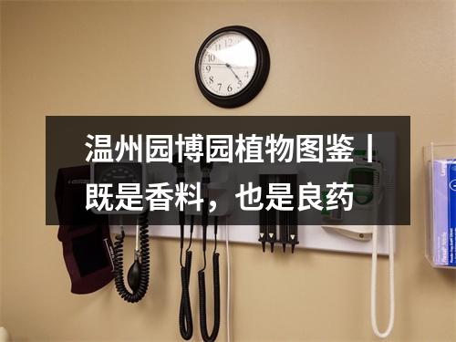 温州园博园植物图鉴丨既是香料，也是良药