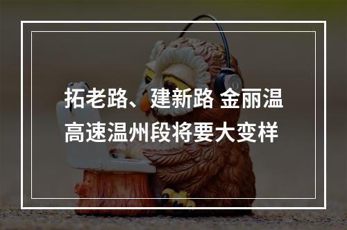 拓老路、建新路 金丽温高速温州段将要大变样