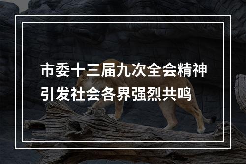 市委十三届九次全会精神引发社会各界强烈共鸣