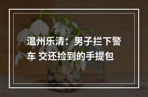 温州乐清：男子拦下警车 交还捡到的手提包