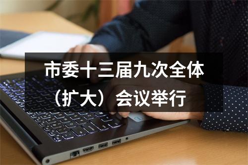 市委十三届九次全体（扩大）会议举行
