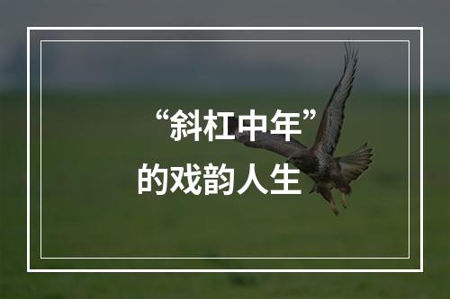 “斜杠中年”的戏韵人生