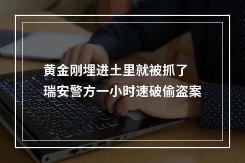 黄金刚埋进土里就被抓了 瑞安警方一小时速破偷盗案