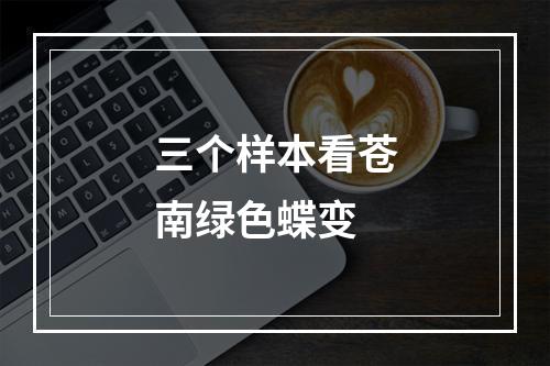 三个样本看苍南绿色蝶变