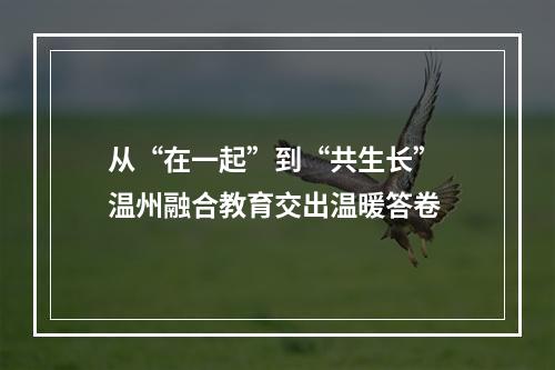 从“在一起”到“共生长” 温州融合教育交出温暖答卷