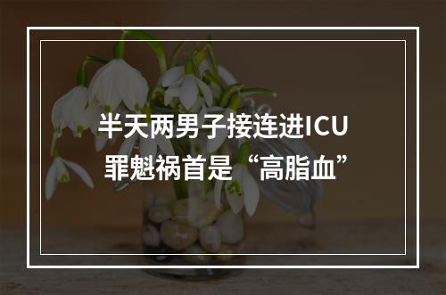 半天两男子接连进ICU 罪魁祸首是“高脂血”