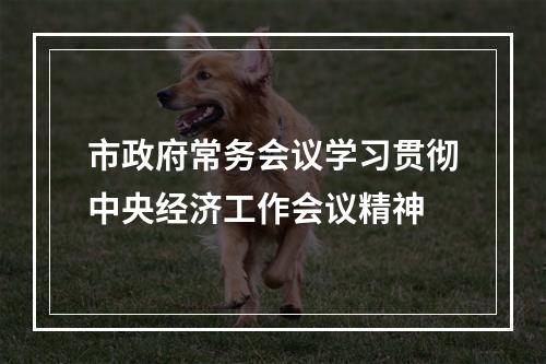市政府常务会议学习贯彻中央经济工作会议精神