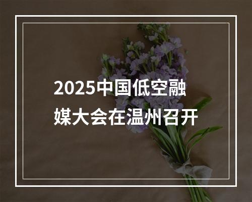 2025中国低空融媒大会在温州召开