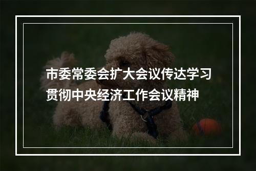 市委常委会扩大会议传达学习贯彻中央经济工作会议精神