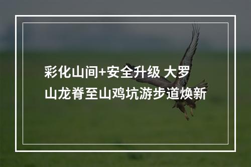彩化山间+安全升级 大罗山龙脊至山鸡坑游步道焕新