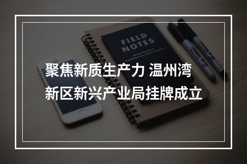 聚焦新质生产力 温州湾新区新兴产业局挂牌成立
