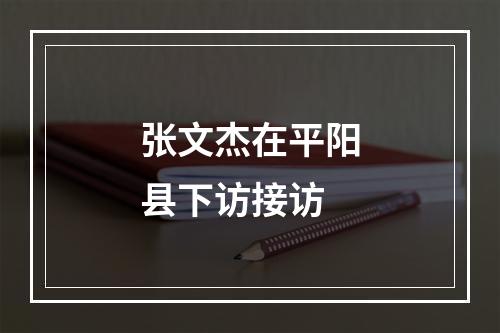 张文杰在平阳县下访接访