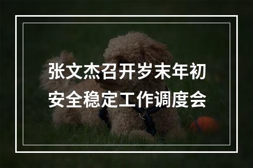 张文杰召开岁末年初安全稳定工作调度会