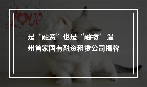 是“融资”也是“融物” 温州首家国有融资租赁公司揭牌