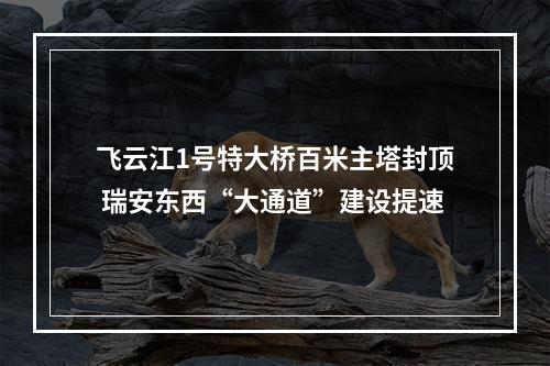 飞云江1号特大桥百米主塔封顶 瑞安东西“大通道”建设提速