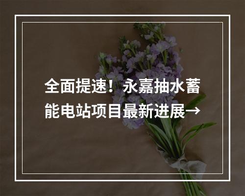 全面提速！永嘉抽水蓄能电站项目最新进展→