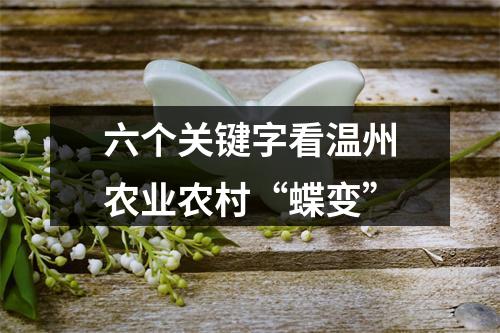 六个关键字看温州农业农村“蝶变”