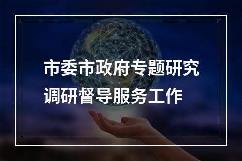 市委市政府专题研究调研督导服务工作