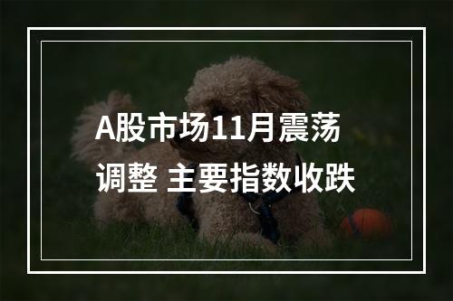 A股市场11月震荡调整 主要指数收跌
