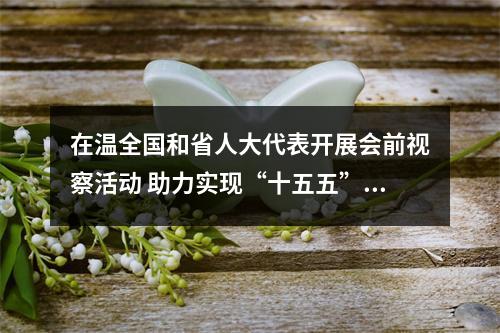 在温全国和省人大代表开展会前视察活动 助力实现“十五五”发展良好开局