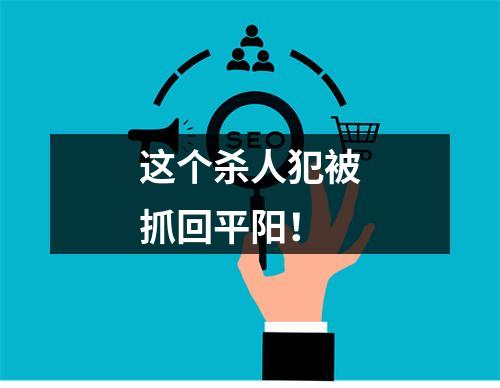 这个杀人犯被抓回平阳！