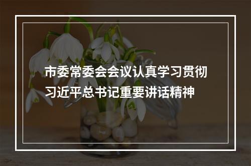 市委常委会会议认真学习贯彻习近平总书记重要讲话精神