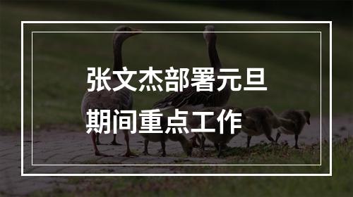 张文杰部署元旦期间重点工作