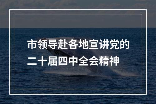 市领导赴各地宣讲党的二十届四中全会精神