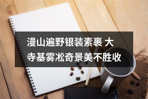 漫山遍野银装素裹 大寺基雾凇奇景美不胜收