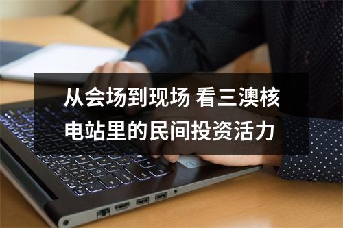 从会场到现场 看三澳核电站里的民间投资活力