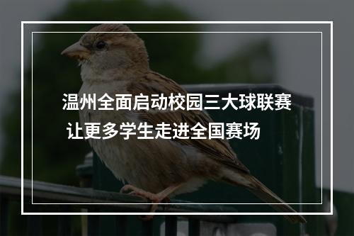温州全面启动校园三大球联赛 让更多学生走进全国赛场