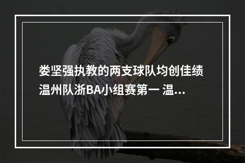 娄坚强执教的两支球队均创佳绩 温州队浙BA小组赛第一 温大男篮省级赛事夺冠