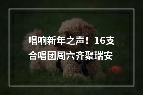 唱响新年之声！16支合唱团周六齐聚瑞安