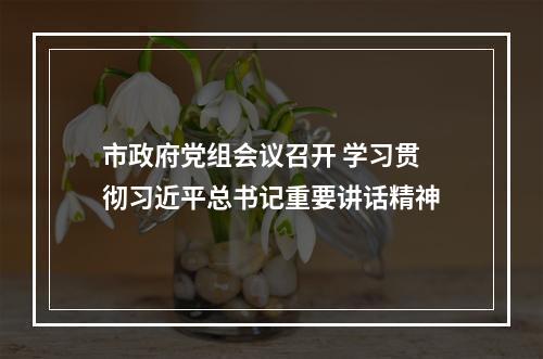 市政府党组会议召开 学习贯彻习近平总书记重要讲话精神
