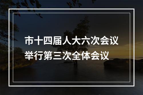 市十四届人大六次会议举行第三次全体会议