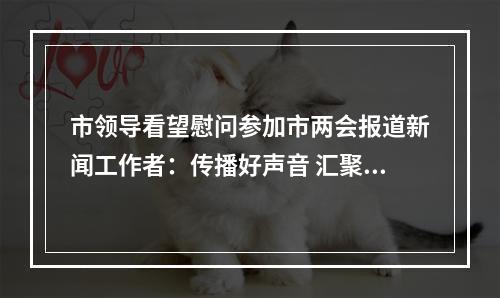 市领导看望慰问参加市两会报道新闻工作者：传播好声音 汇聚正能量 提振精气神