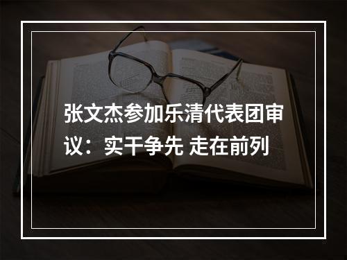 张文杰参加乐清代表团审议：实干争先 走在前列