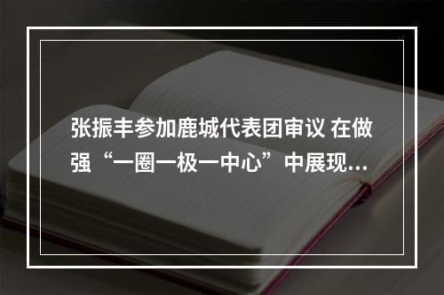 张振丰参加鹿城代表团审议 在做强“一圈一极一中心”中展现鹿城担当