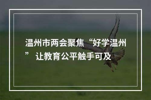 温州市两会聚焦“好学温州” 让教育公平触手可及