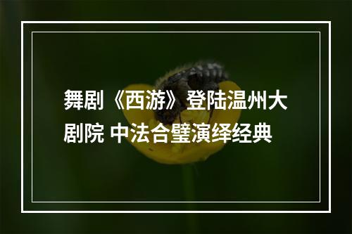 舞剧《西游》登陆温州大剧院 中法合璧演绎经典