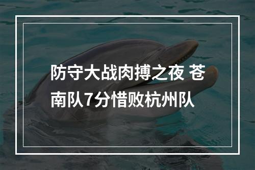 防守大战肉搏之夜 苍南队7分惜败杭州队