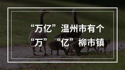 “万亿”温州市有个“万”“亿”柳市镇