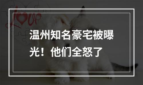 温州知名豪宅被曝光！他们全怒了