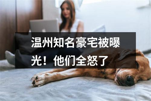 温州知名豪宅被曝光！他们全怒了
